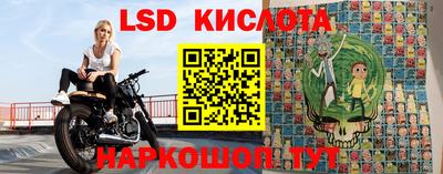 спиды Гусев