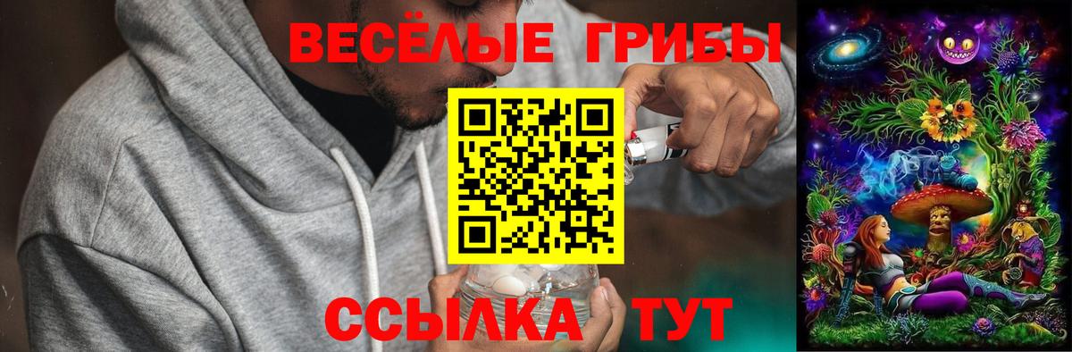 Псилоцибиновые грибы Psilocybine cubensis  Вход с VPN  Кизилюрт 