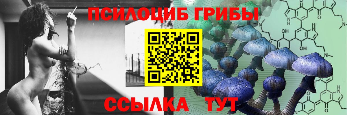 Псилоцибиновые грибы Cubensis Кизилюрт